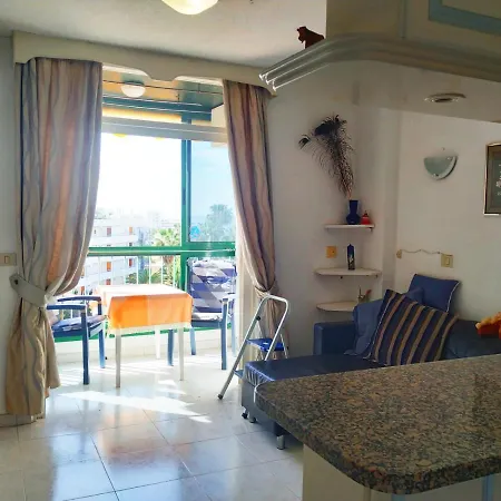 Apartment Vina Del Mar 6